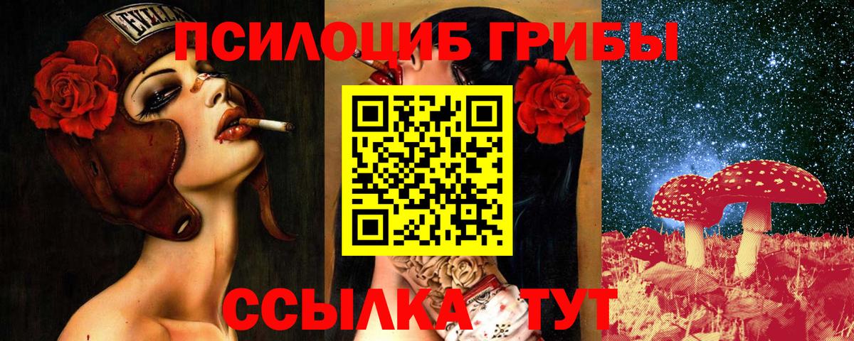 Галлюциногенные грибы Magic Shrooms Дедовск