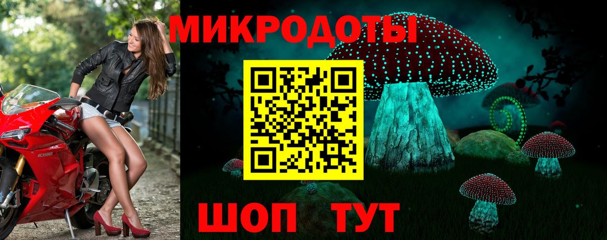 Дедовск  магазин    Вход с VPN  Псилоцибиновые грибы Psilocybine cubensis 